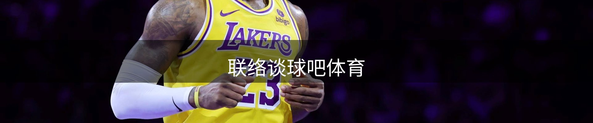 内页banner